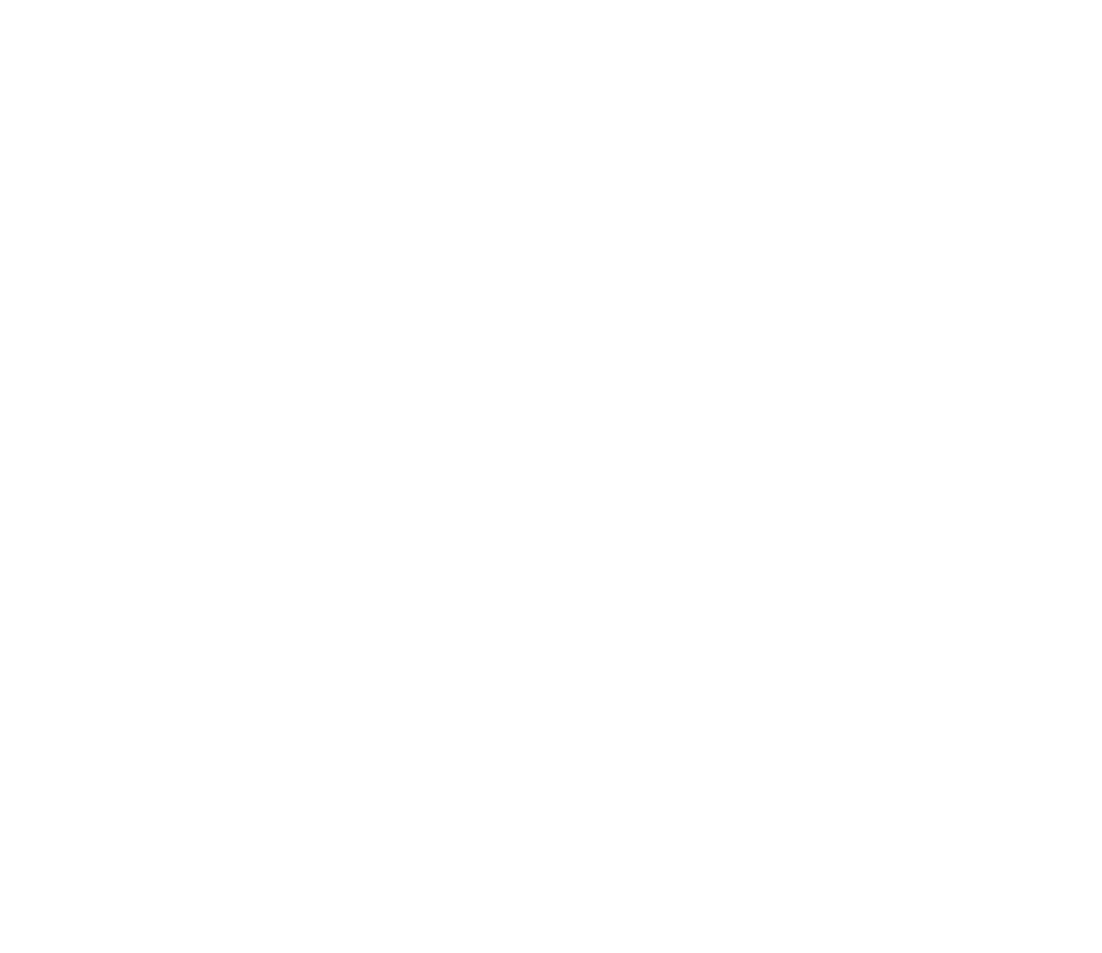 Topstreamusa